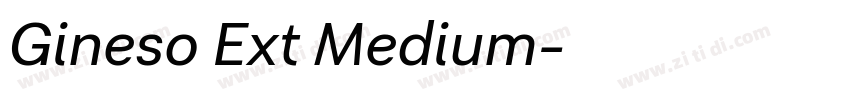 Gineso Ext Medium字体转换